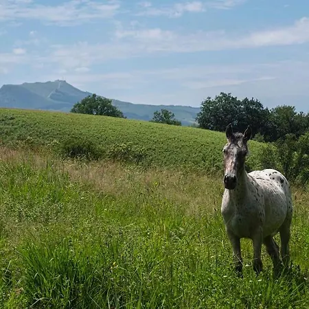 Bel Avec Terrasse Jardin Vue Montagne Vakantiehuis *